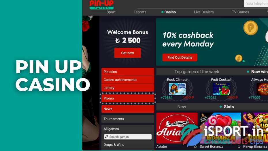 casino pin up online slots bettimg game casino pin up online slots bettimg game