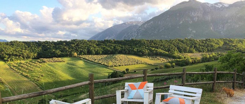 Scopri il fascino di Chicken Road: il gioco d'azzardo che sta conquistando